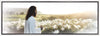 Consider The Lilies Gallery Wrap