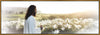 Consider The Lilies Large Wall Art Gallery Wrap
