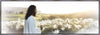 Consider The Lilies Large Wall Art Gallery Wrap