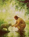 Gentle Shepherd Gallery Wrap