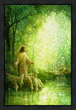 Feed My Sheep Gallery Wrap