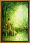 Feed My Sheep Gallery Wrap