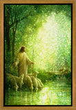 Feed My Sheep Gallery Wrap