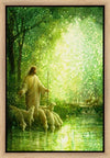 Feed My Sheep Gallery Wrap