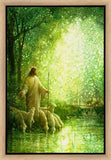 Feed My Sheep Gallery Wrap