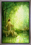 Feed My Sheep Gallery Wrap