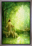 Feed My Sheep Gallery Wrap