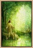 Feed My Sheep Gallery Wrap