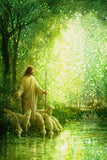 Feed My Sheep Gallery Wrap