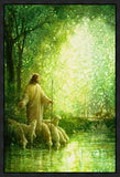 Feed My Sheep Gallery Wrap