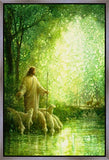 Feed My Sheep Gallery Wrap