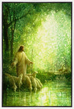 Feed My Sheep Gallery Wrap
