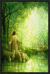 Feed My Sheep Gallery Wrap