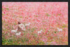 Shepherd's Rest Gallery Wrap