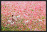 Shepherd's Rest Gallery Wrap