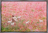 Shepherd's Rest Gallery Wrap