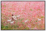 Shepherd's Rest Gallery Wrap