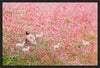 Shepherd's Rest Gallery Wrap