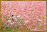 Shepherd's Rest Gallery Wrap