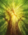 Tree of Life Gallery Wrap
