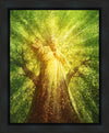 Tree of Life Gallery Wrap