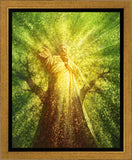 Tree of Life Gallery Wrap