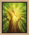 Tree of Life Gallery Wrap