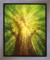Tree of Life Gallery Wrap