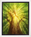Tree of Life Gallery Wrap