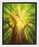 Tree of Life Gallery Wrap
