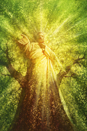 Tree of Life Gallery Wrap