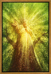Tree of Life Gallery Wrap