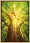Tree of Life Gallery Wrap
