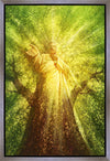 Tree of Life Gallery Wrap