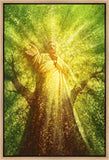 Tree of Life Gallery Wrap