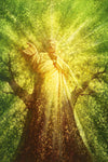 Tree of Life Gallery Wrap