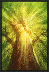 Tree of Life Gallery Wrap