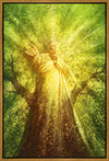 Tree of Life Gallery Wrap