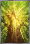 Tree of Life Gallery Wrap