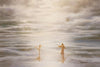 Dancing on Water Gallery Wrap