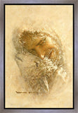 Found Gallery Wrap