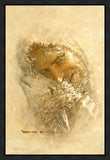 Found Gallery Wrap