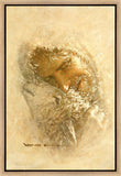 Found Gallery Wrap