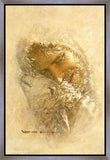 Found Gallery Wrap
