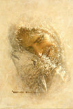 Found Gallery Wrap