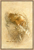 Found Gallery Wrap