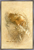 Found Gallery Wrap