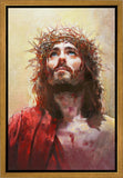 The Lamb of God Gallery Wrap