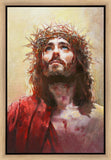 The Lamb of God Gallery Wrap
