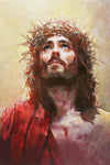 The Lamb of God Gallery Wrap